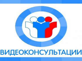О проведении видеоконсультаций председателями предметных комиссий Омской области.